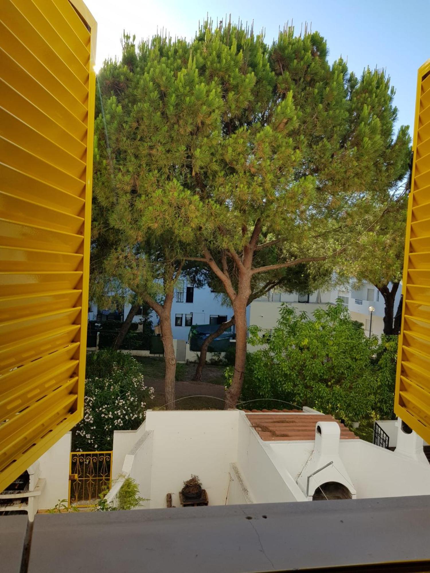 Gelbblau Falesia Albufeira Bagian luar foto